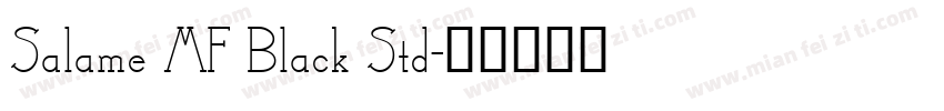 Salame MF Black Std字体转换